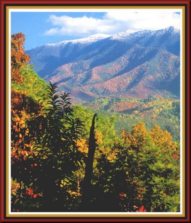 Smokey Mountain Autumn