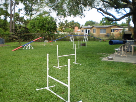 back yard agility course