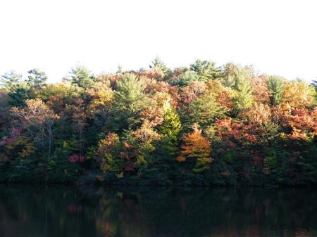 Fall in "our" mountains