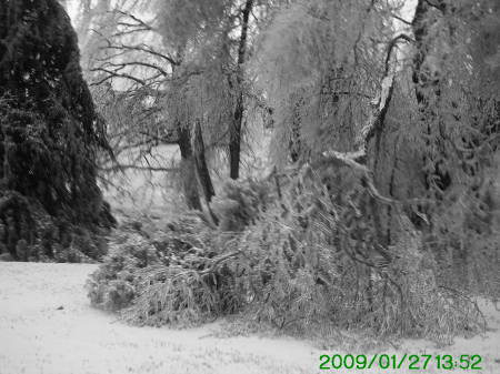 Ice storm Jan,26th,2009