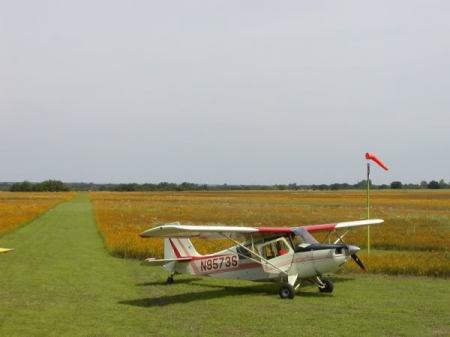 Grass Strip Delight!