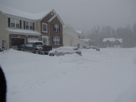 2010 Snow Storm