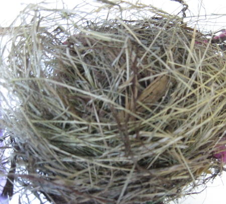 Top of the nest