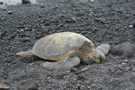 Big Island, Hawaii