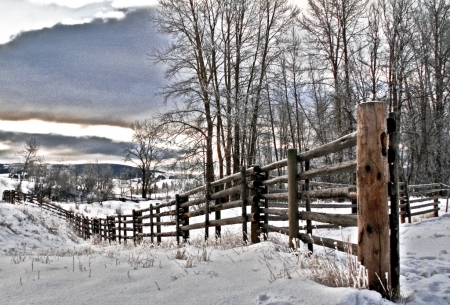 winter time at the Douglas Lake Ranch