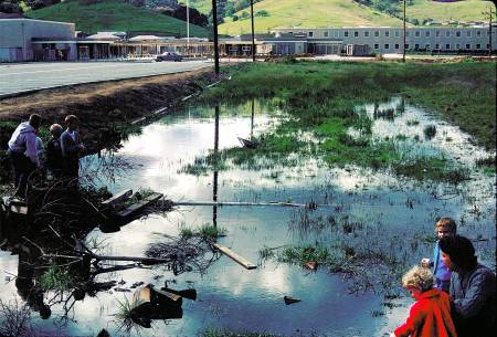 The HighSchool Pond (from 1963)