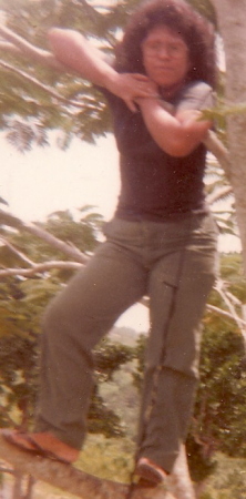 Me 1981