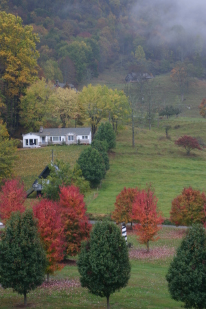 Pastoral Autumn