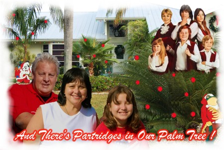 Xmas Card 2008