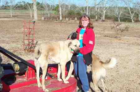 katherine, kate, and axel.