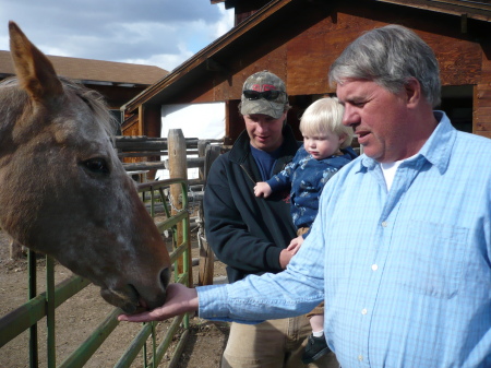 First horse meeting