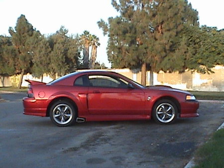 My '02 Stang