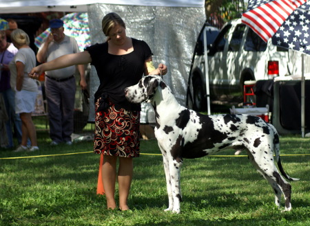 Veteran with Handler