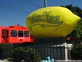 The Lemon,,bor lemon grove