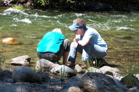 Gold Panning