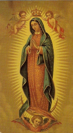 THE VIRGIN OF GUADALUPE