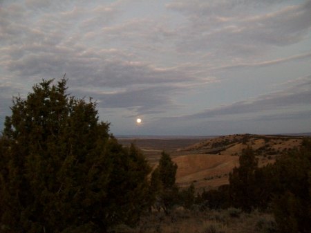 Nightime moonlight - amazing!