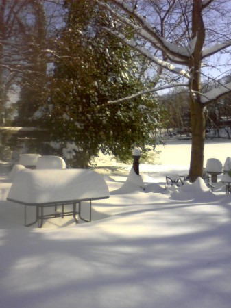 Snowfall Yard