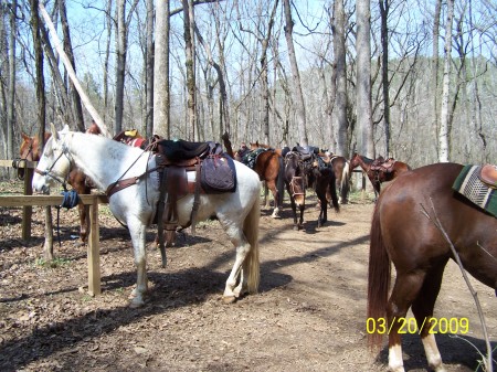 arkansas horseback trip 03-15-09 119