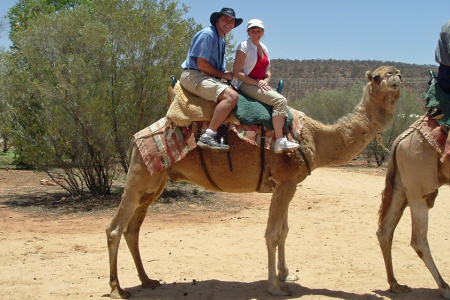 Camel safari through the Outback (Australia)