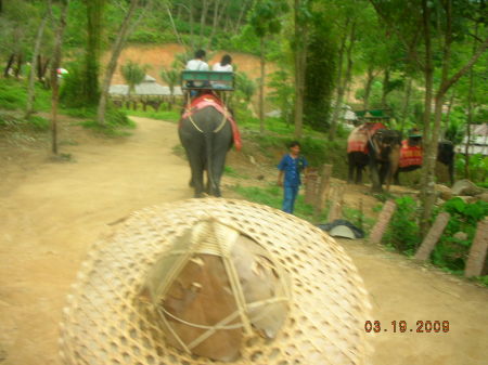 Thailand 3/09-My mahout's hat!