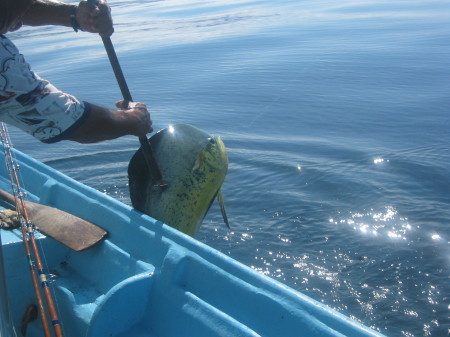 bahia de los angeles 2008 017