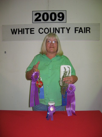 Fair Best-of-Show ribbons