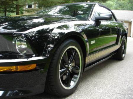 2007 Shelby GTH Convertible Photo 6