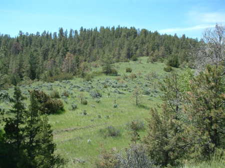 My property in Montana
