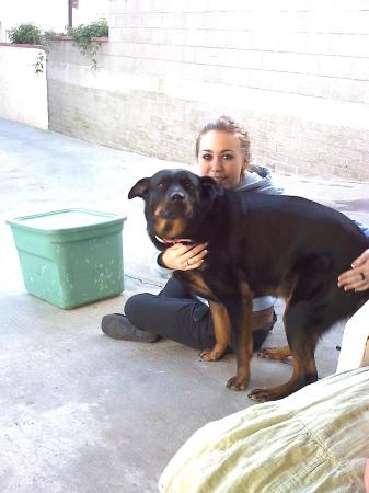 My daughter Trish, and our Rotty, Luna.