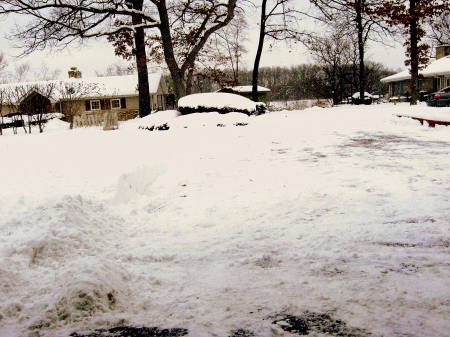 Winter 2010