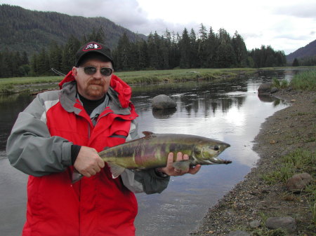 Chum Salmon from 2005 Alaska trip