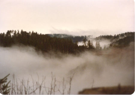 Fog in the Mountains