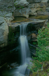 Screw-Auger-Falls-(Grafton)