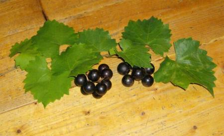 Grapes