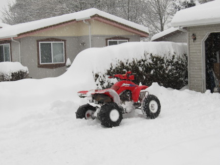 Snow 2008