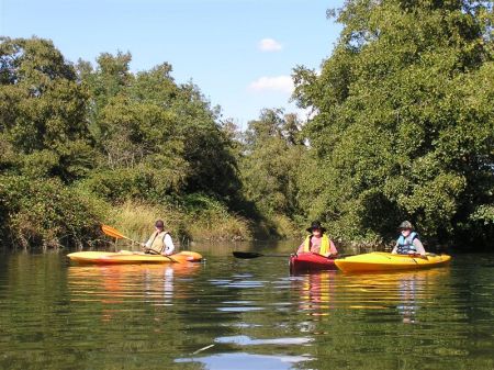 American River 2008