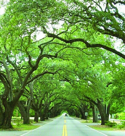 South Boundaty Street, Aiken, S.C.