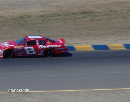 Dale JR. Race car