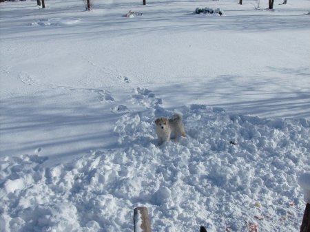 a fun day in the snow