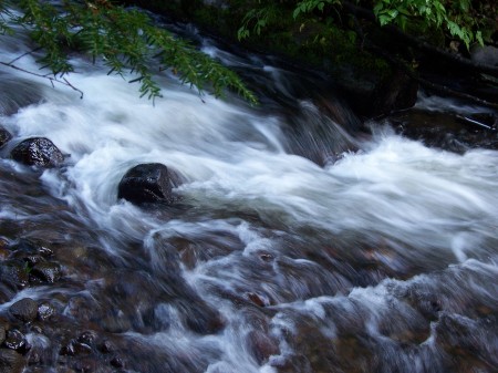 Camp Creek (EXPERIMENT) Mt. Hood Nat'l Forest.