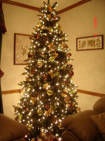 Oh Christmas Tree! 2009