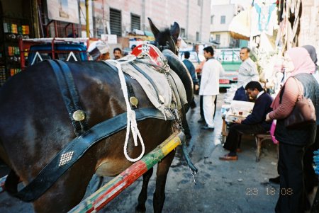 Cairo, Egypt