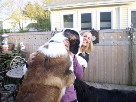 dandy welcoming mommy home from work