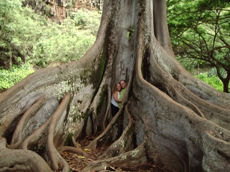 Hawaiian Honeymoon