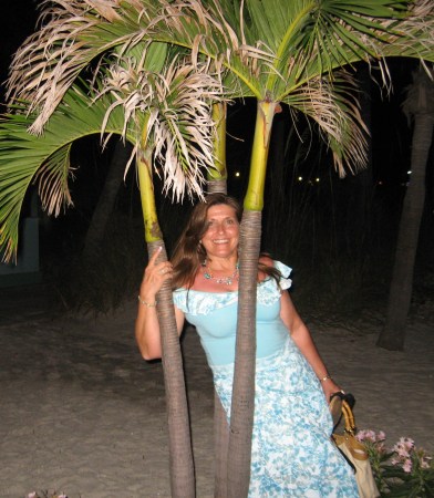 St Pete Beach 2009