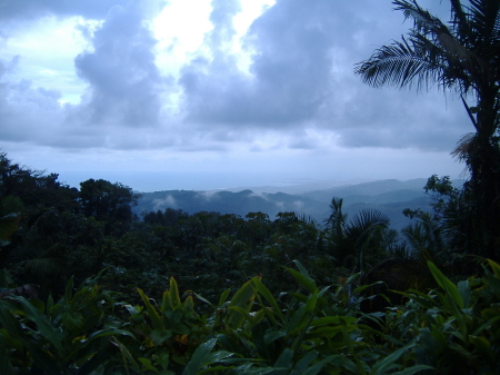 El Yunque Rain Forest