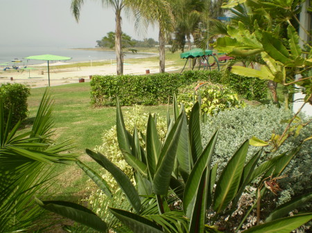 Ein Gev at the Kinneret