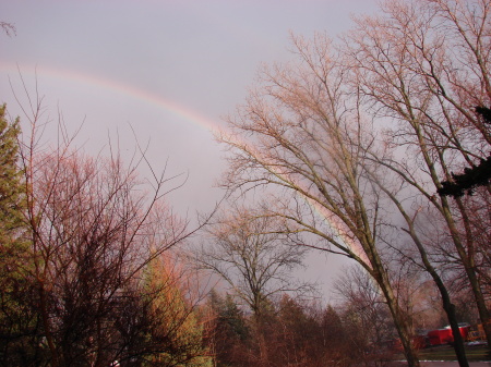 Spring Storm 03-31-2009