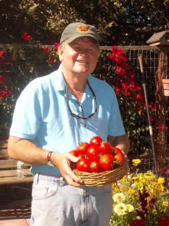 Tomatoes!